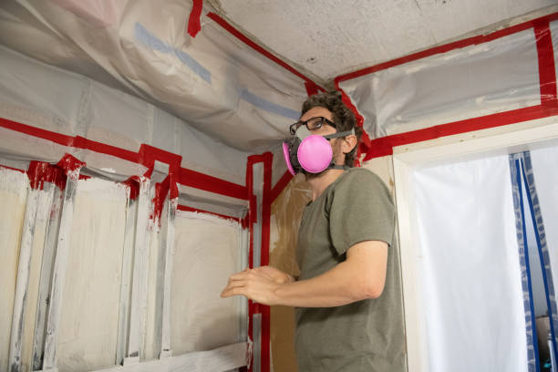 Best Black Mold Removal  in Wilkshire Hills, OH